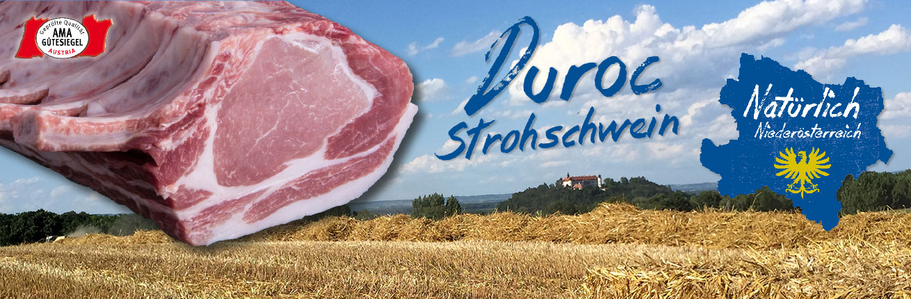 Duroc, Duroc Schweine, Duroc Schwein, Duroc Schwein kaufen, Duroc Fleisch, Duroc-Schweine kaufen Österreich, Duroc Schweinefleisch